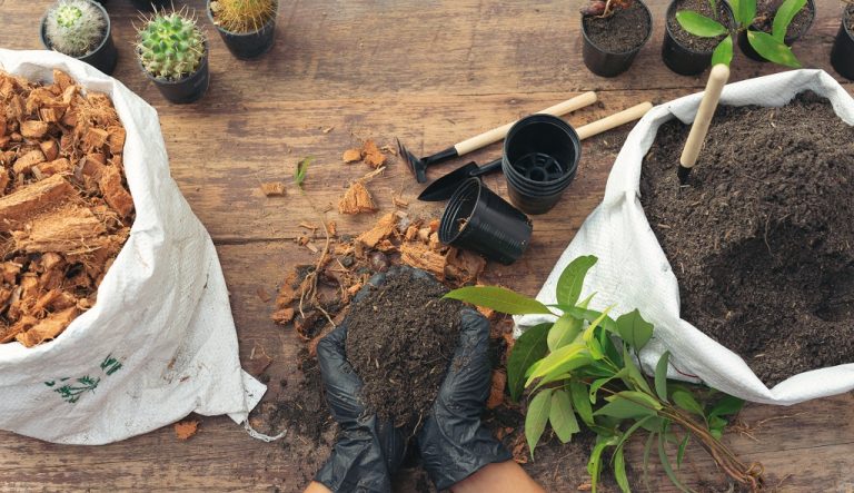 Translation Memories Create, Use, Maintain - Portada